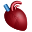 coração anatômico icon