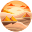 Desert icon