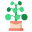 Pilea icon