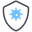 escudo-coronavirus icon