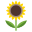 Tournesol icon