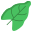 Leaf icon