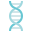 DNA icon