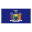 New York Flag icon