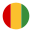 Guinea Circular icon