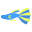 Guppy Fish icon