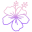 Hibiscus icon