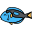 Blue Tang Fish icon