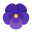 фиалковый цветок icon