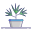 Dracaena icon