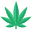 Cannabis icon