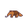 Anteaters icon