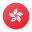 香港通函 icon