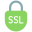 Ssl icon