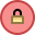 Secure icon