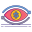 Visualization icon