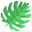 Monstera Leaf icon