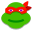 Ninja Turtle icon