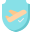 Avion icon