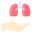 Lungs icon