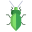 Stink Bug icon