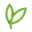 Leaves icon