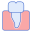 Premolar icon