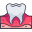 Molar icon