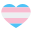 Transgender- icon