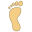 Empreinte pied gauche icon