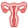 Uterus icon