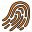 Fingerabdruck icon