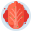 Kimchi icon