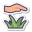 Lawn Care icon