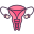 Ovary icon