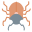 Beetle icon