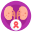 Kidneys icon