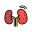 Kidney Stones icon