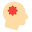 Brain Infection icon