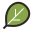 espinaca icon