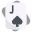 20 Jack of Spades icon