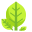 Botanical icon