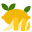 Citron icon