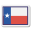 Texas Flag icon