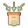 Packing icon