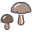 Fungus icon