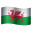 威尔士表情符号 icon