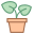 Topfpflanze icon