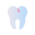 Molar icon