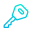 Car Key icon